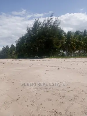 Incredible Beach Plot at Mkwaja