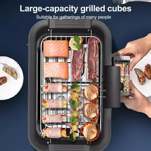 Electric Grill
