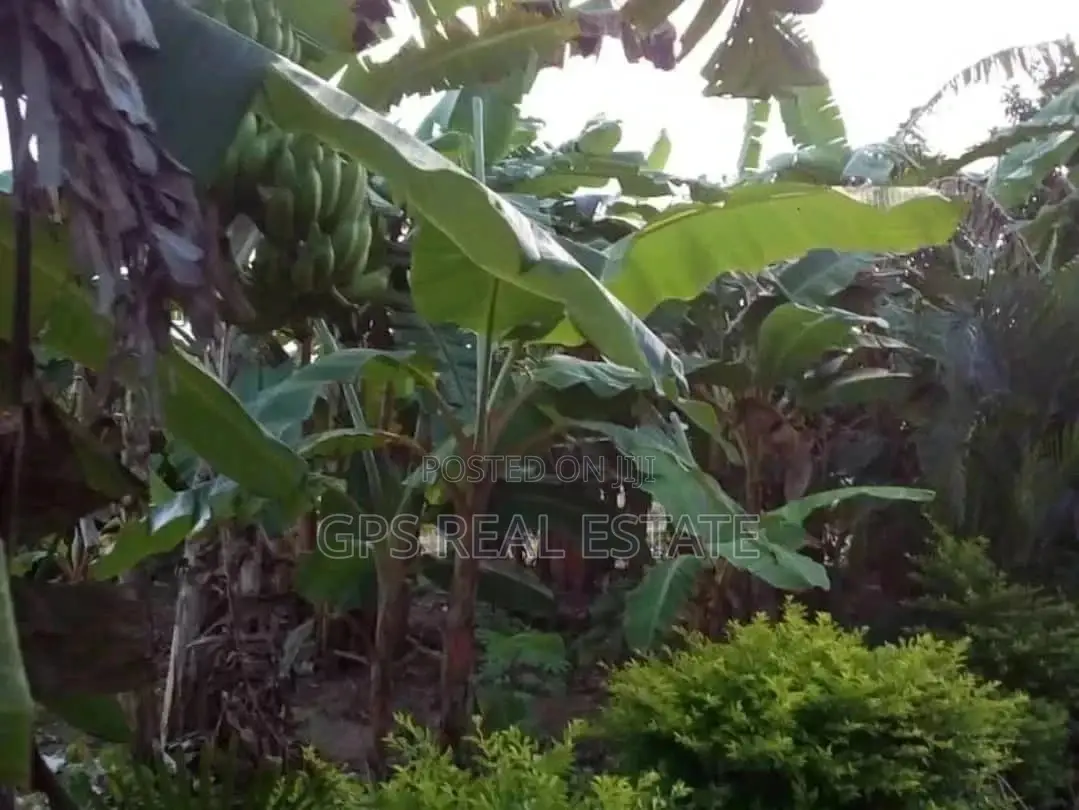 Two Bedroom House In Mapinga Bagamoyo For Sale
