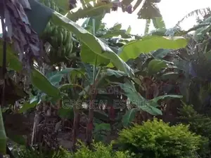 Two Bedroom House In Mapinga Bagamoyo For Sale