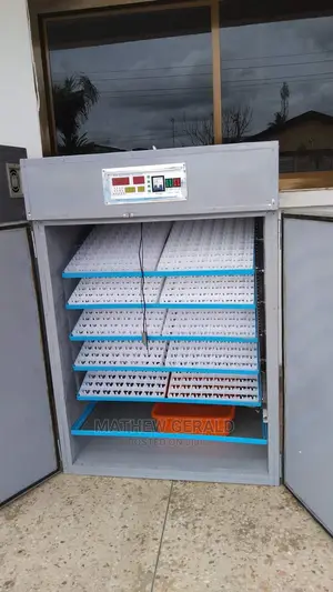 Egg Incubator