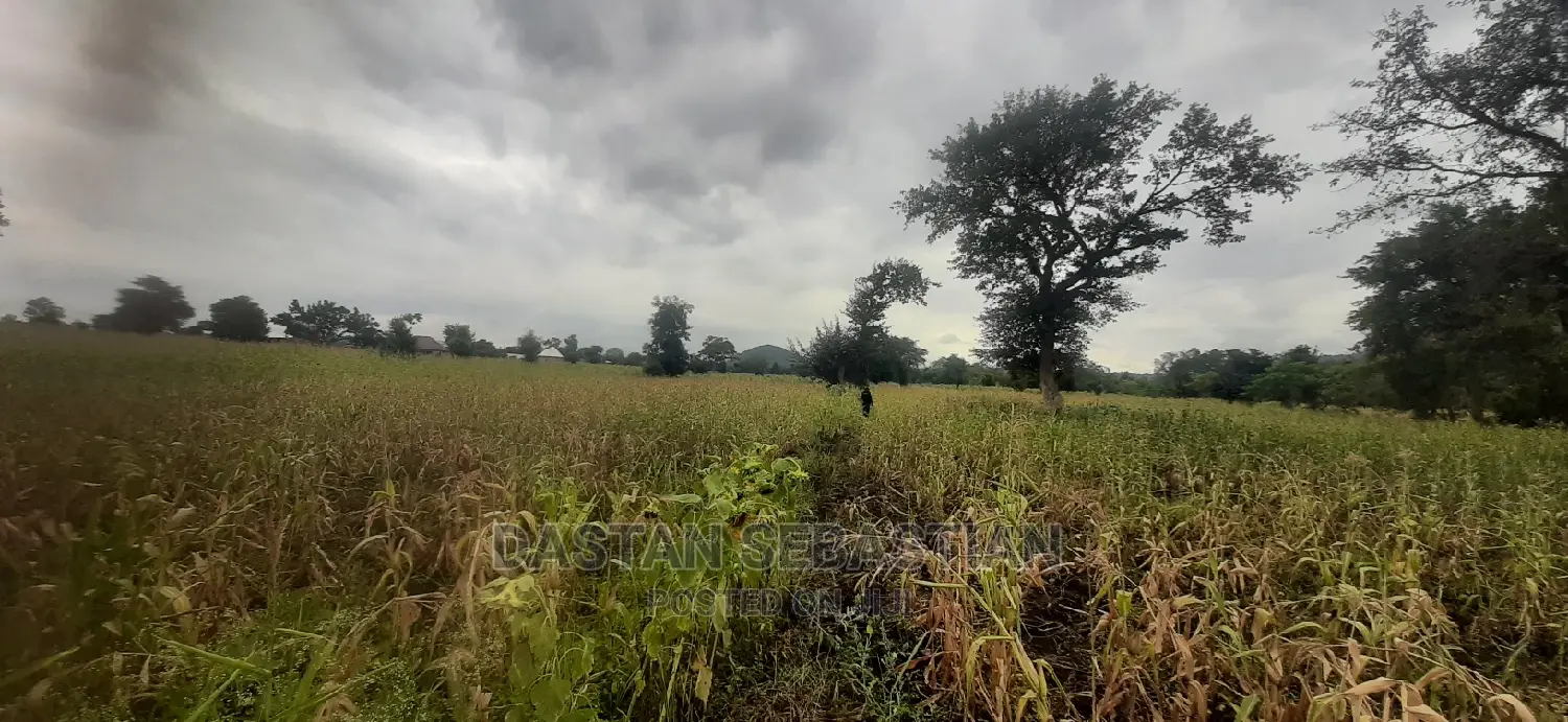 Viwanja Vya Makazi