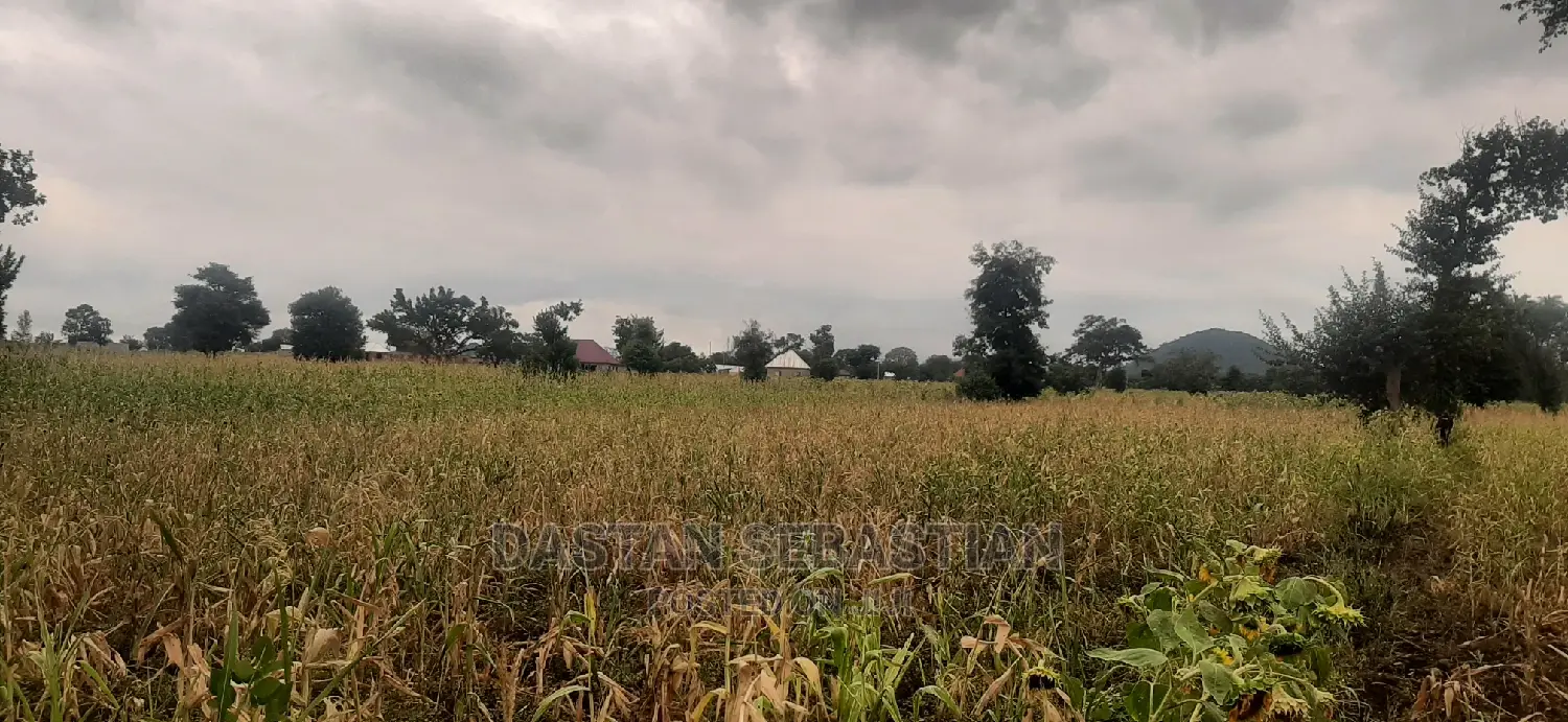Viwanja Vya Makazi