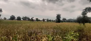 Viwanja Vya Makazi
