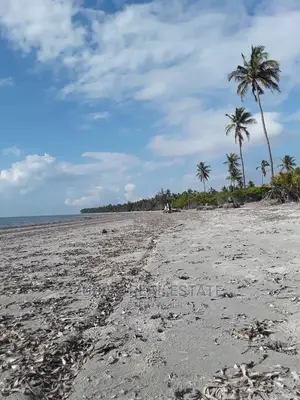 Mikocheni Beach Plot for Sale