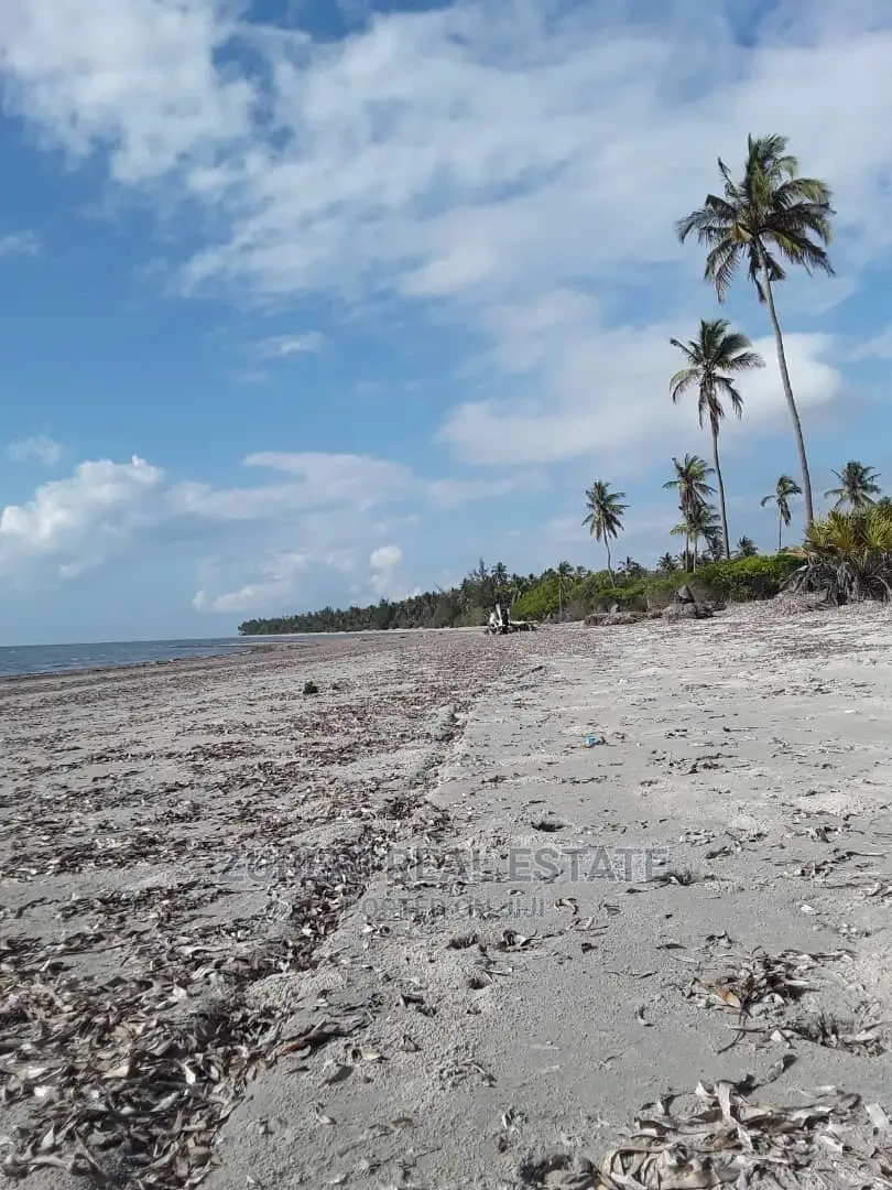 Mikocheni Beach Plot for Sale