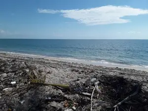Mikocheni Beach Plot for Sale