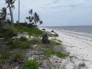 Sange Beach Plot for Sale