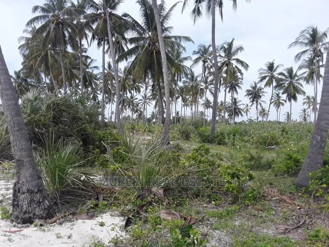 Sange Beach Plot for Sale