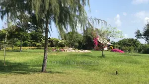 Kikokwe Ocean Cliff With Bungalow For Sale.