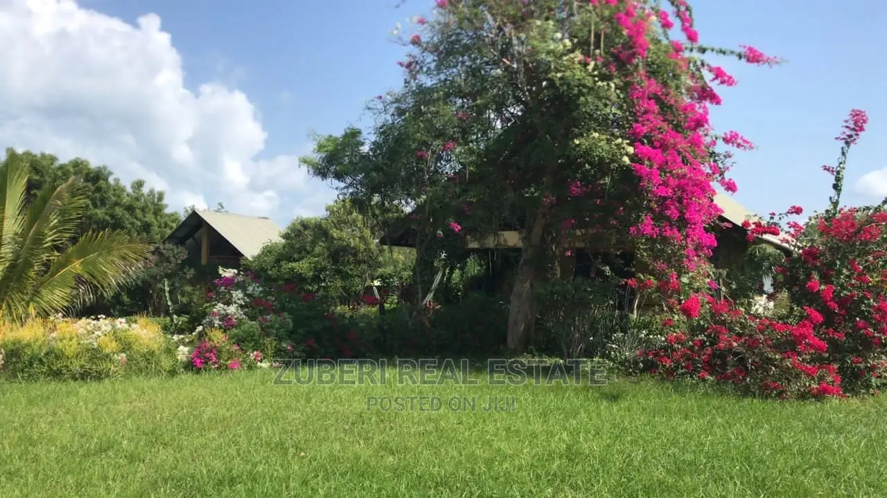Kikokwe Ocean Cliff With Bungalow For Sale.