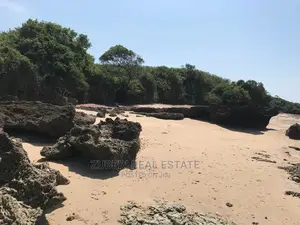 Amaizing Ocen Cliff for Sale.