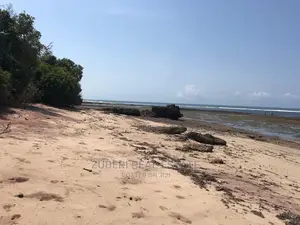 Amaizing Ocen Cliff for Sale.