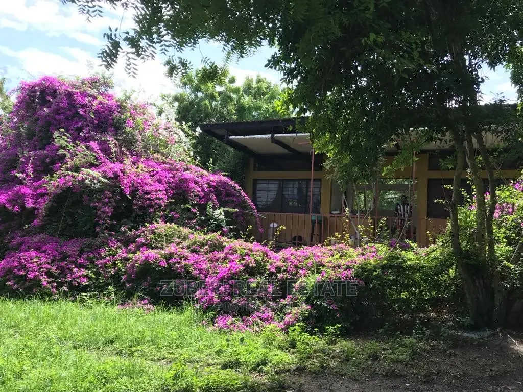 Kikokwe Ocean Cliff With Bungalow For Sale.