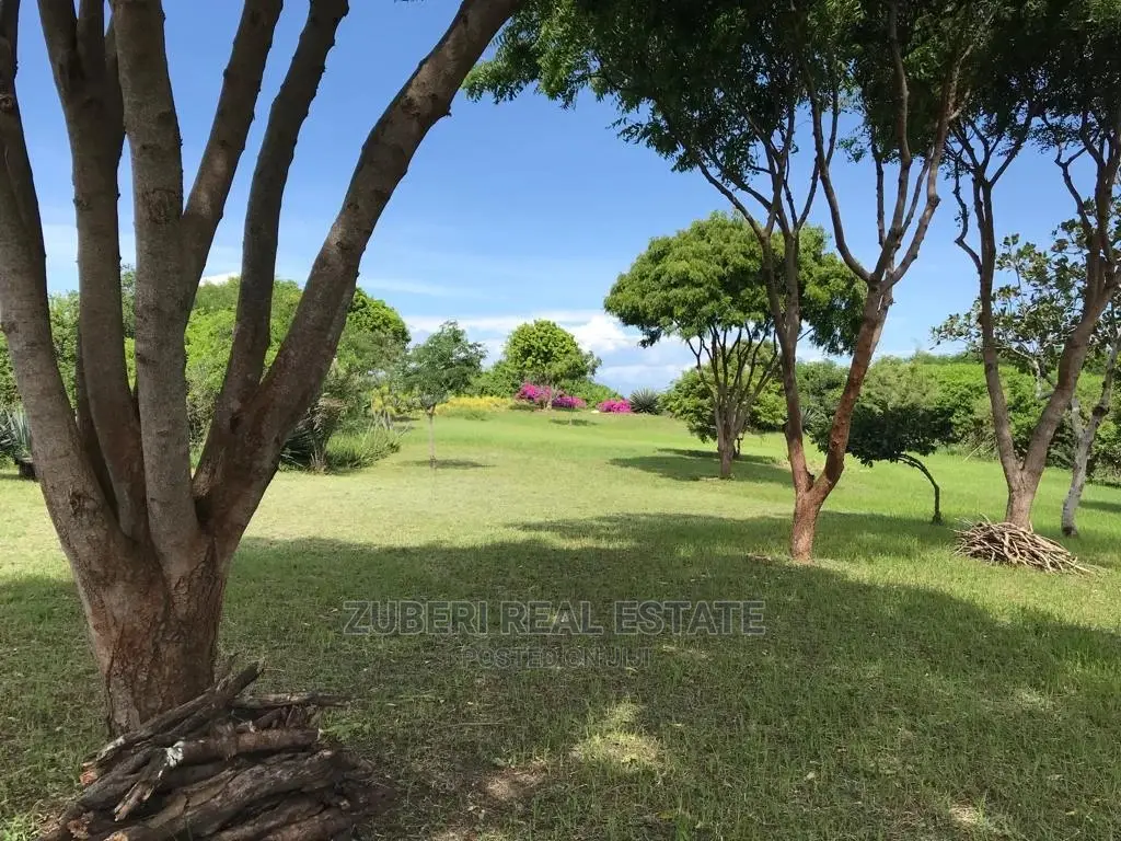 Kikokwe Ocean Cliff With Bungalow For Sale.