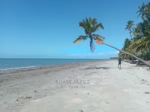 Nauza Beach Proti Mkwaja Pangani Tanga