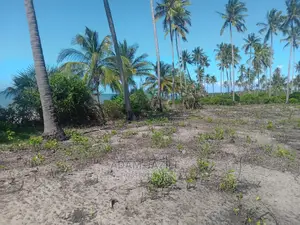 Nauza Beach Proti Mkwaja Pangani Tanga