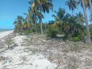 Nauza Beach Proti Mkwaja Pangani Tanga