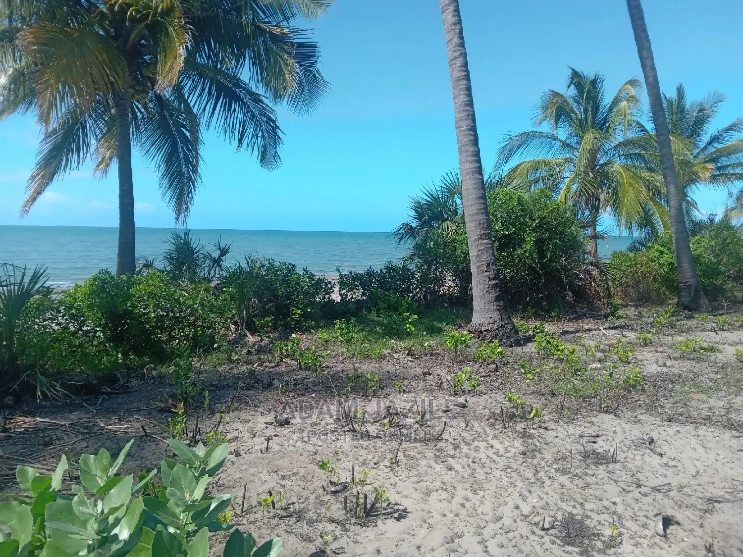 Nauza Beach Proti Mkwaja Pangani Tanga