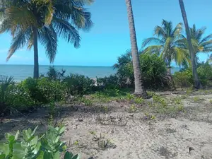 Nauza Beach Proti Mkwaja Pangani Tanga