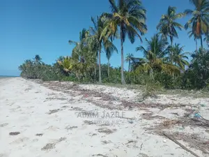 Nauza Beach Proti Mkwaja Pangani Tanga