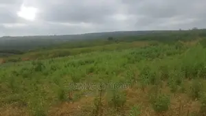 Shamba Acre 17 for Sale Loction Bago Bagamoyo