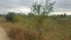 Acre 12 for Sale Bago Kiwangwa