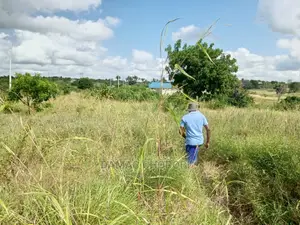 Viwanja Vikubwa Tu Kuanzia Qmt 1200 Kwa