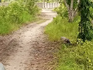 Viwanja Vikubwa Tu Kuanzia Qmt 1200 Kwa