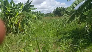 Acre 200 for Sale Loction Mbwewe Pwani