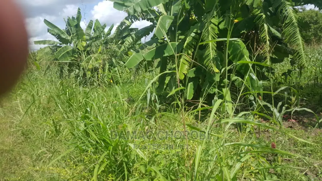 Acre 200 for Sale Loction Mbwewe Pwani