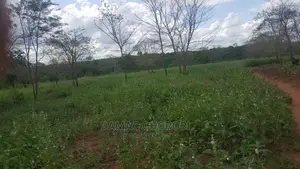 Acre 200 for Sale Loction Mbwewe Pwani