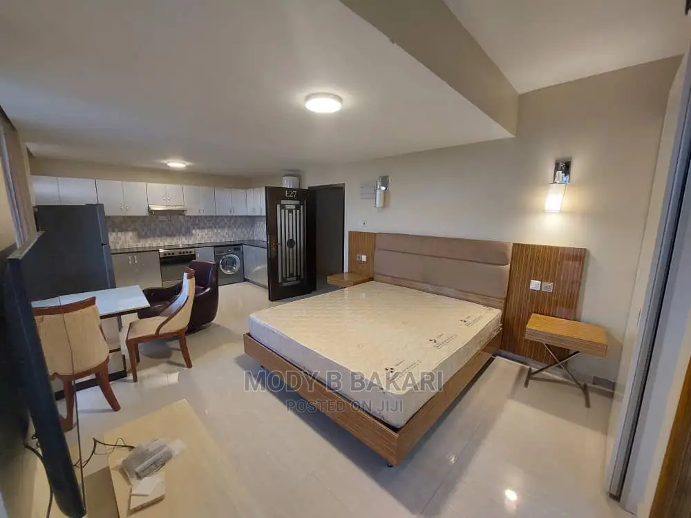 Furnished 1bdrm Apartment in Kinondoni for Rent