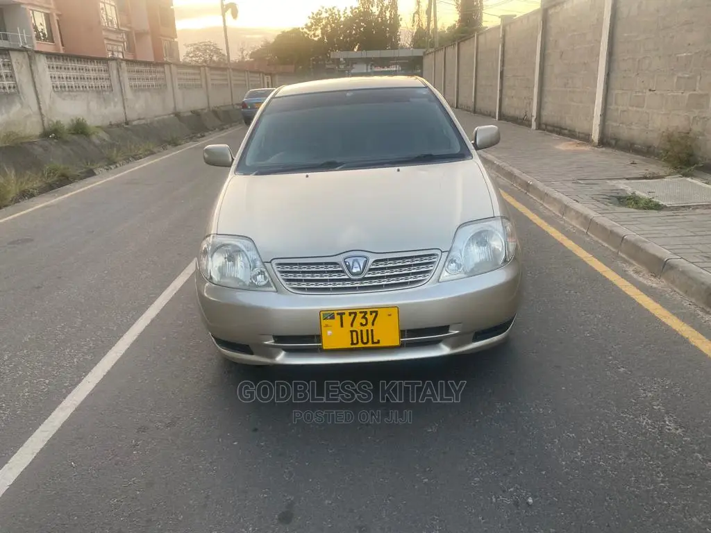 Toyota Allex 2002 Gold