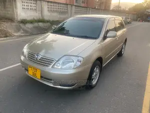 Toyota Allex 2002 Gold