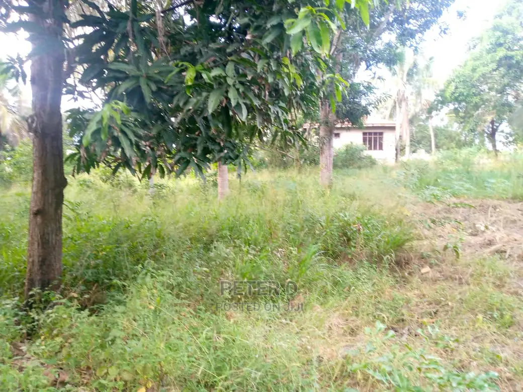 Eneo Kubwa Sana Bei Poa