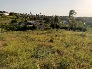 Kiwanja Kizuri Sana