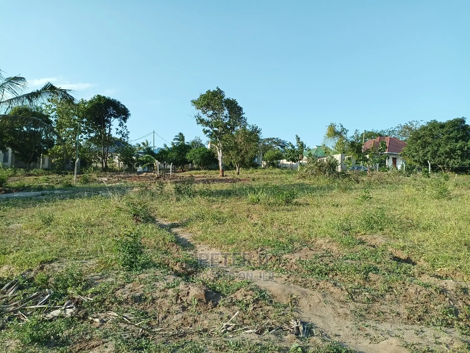 Kiwanja Tambarale