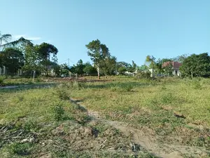 Kiwanja Tambarale