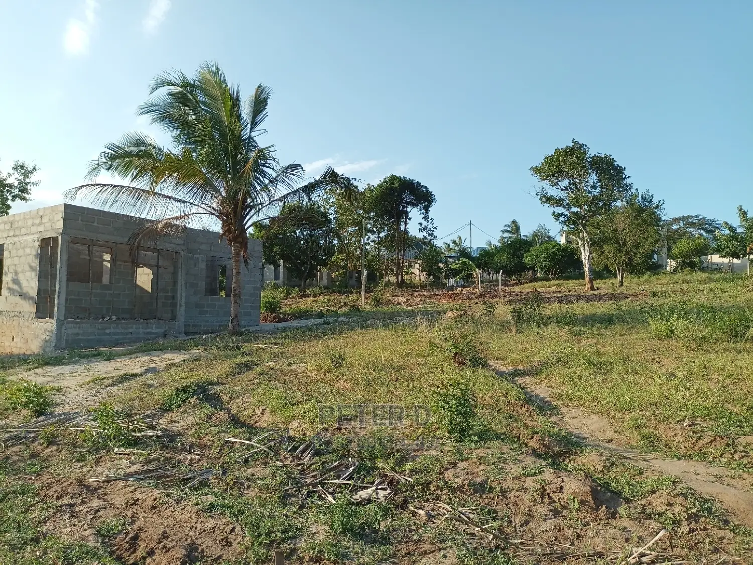 Kiwanja Tambarale