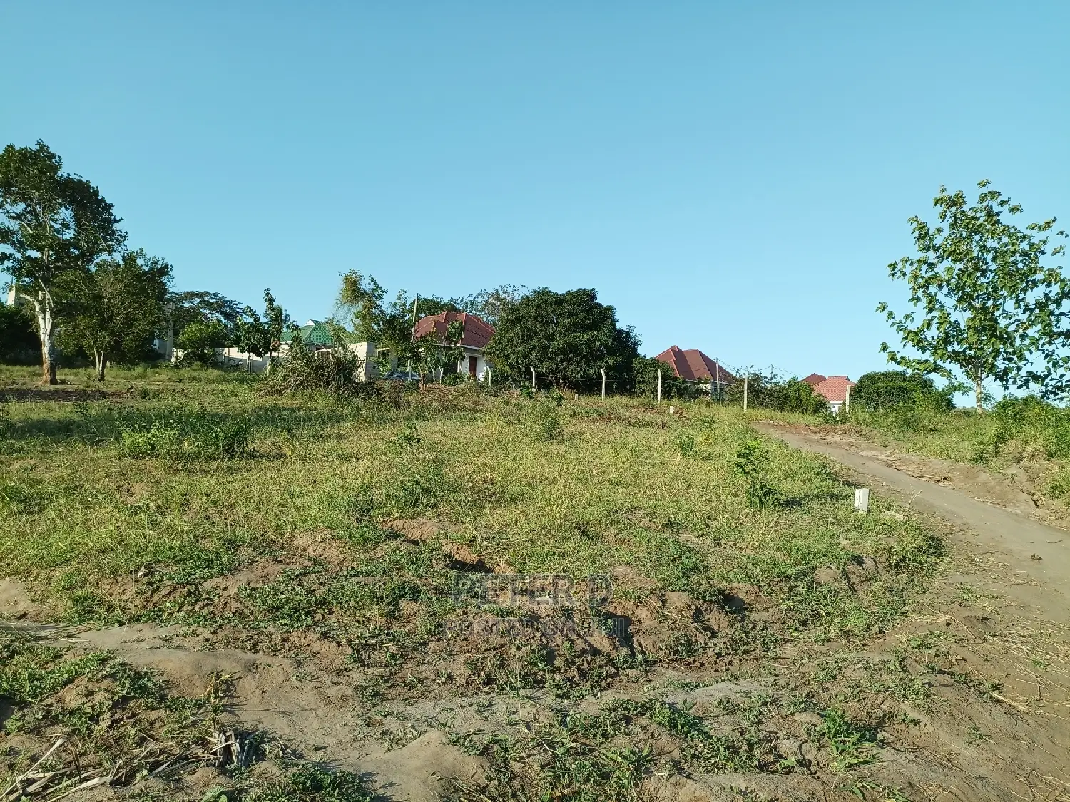 Kiwanja Tambarale