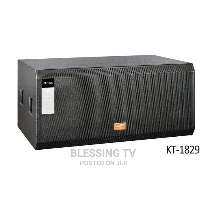 Kodtec Double Bass Speaker