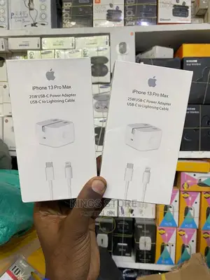 Original iPhone 13 Pro Max Charger