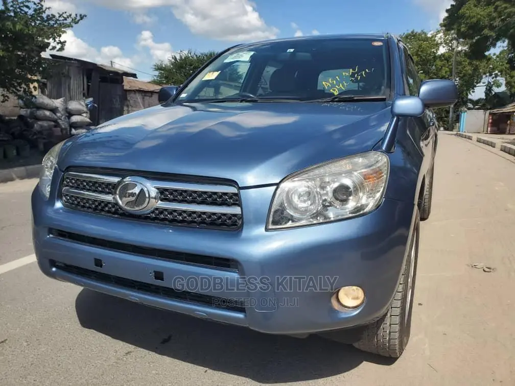 Toyota RAV4 2009 Blue