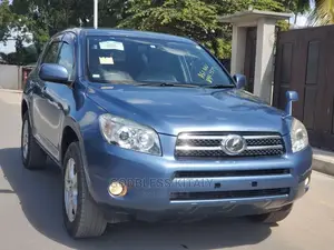 Toyota RAV4 2009 Blue