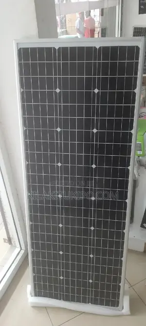 Street Light All in 1 100W