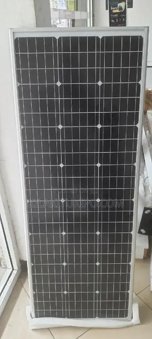 Street Light All in 1 100W