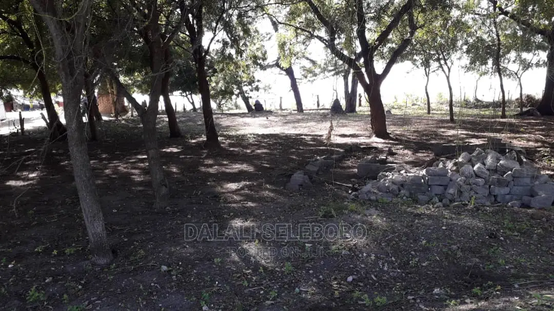 Beach Plot at Pangani Milioni 80