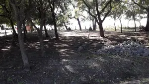 Beach Plot at Pangani Milioni 80