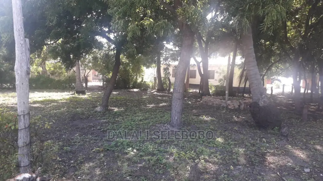 Beach Plot at Pangani Milioni 80